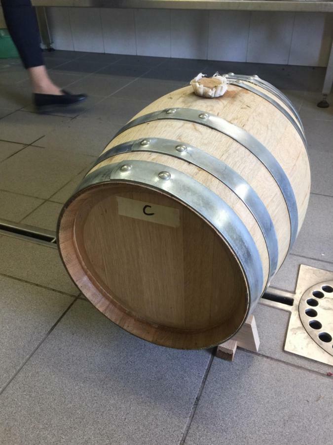 산 마르티노 Obergereuth Hof 1288 아파트 외부 사진