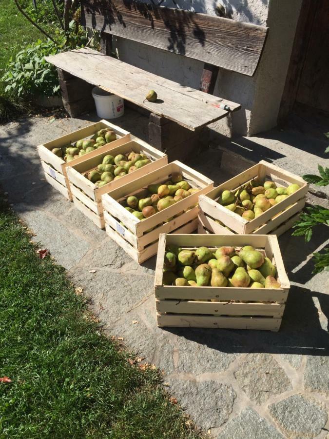 산 마르티노 Obergereuth Hof 1288 아파트 외부 사진