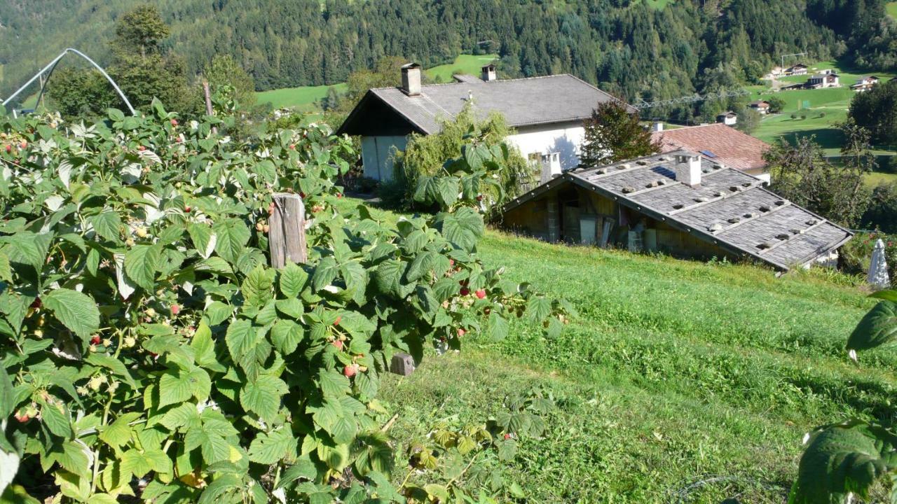 산 마르티노 Obergereuth Hof 1288 아파트 외부 사진