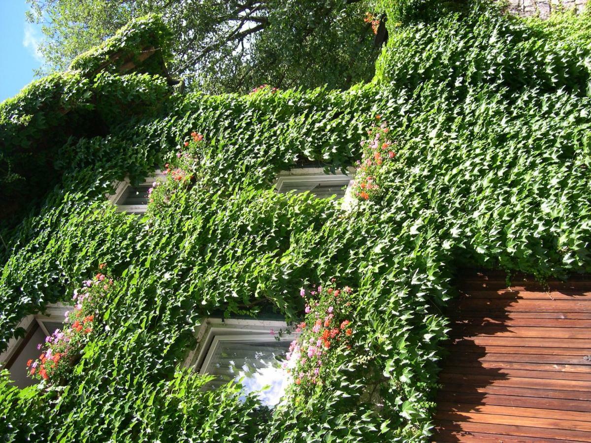 산 마르티노 Obergereuth Hof 1288 아파트 외부 사진